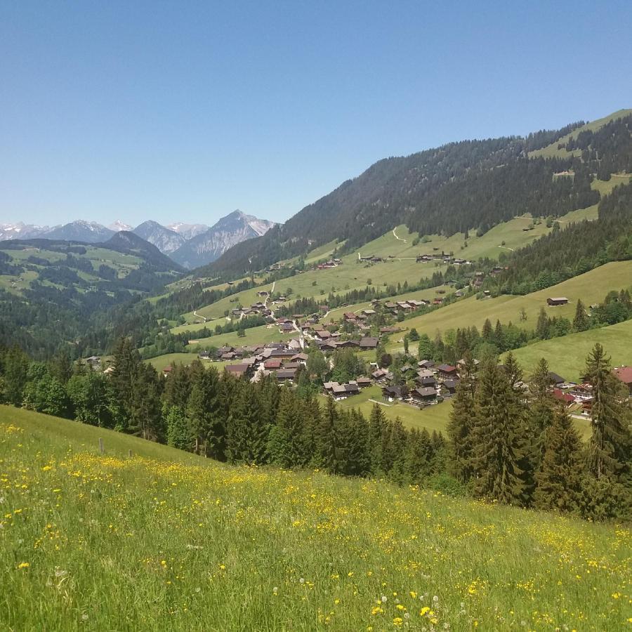 Haus Raimund " Klein Aber Fein " Apartment Alpbach Bagian luar foto